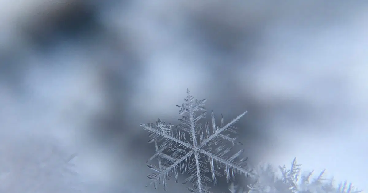 School , Highway Closures In Grey Bruce As Snow Persists