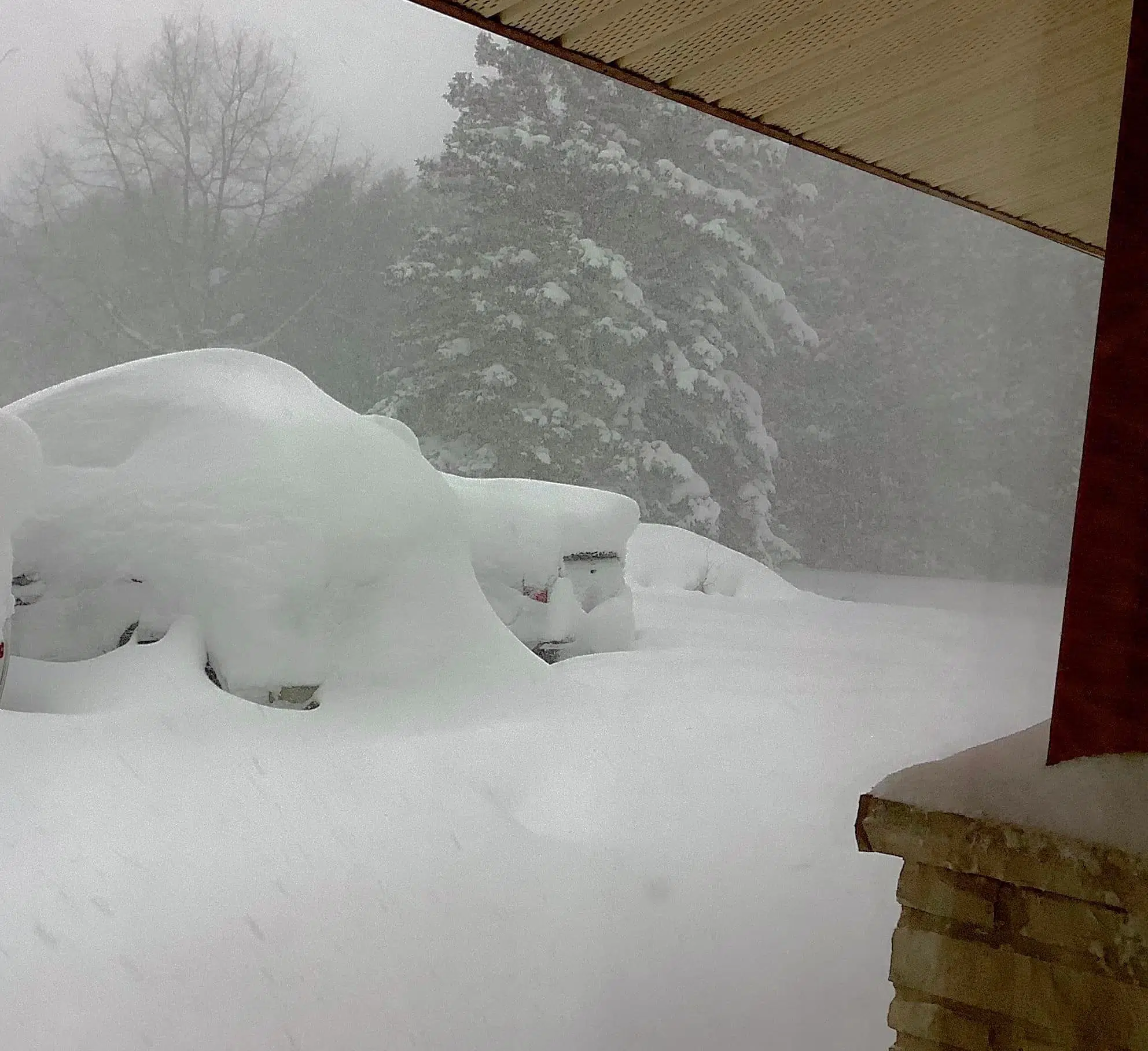 Wiarton Area Saw More Than 120 Centimetres Of Snow During Multi-Day Squall Event