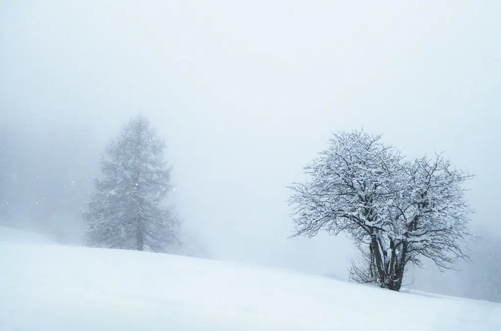 Snow Squall Warning Continues In Grey Bruce