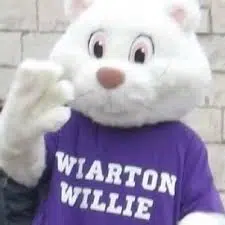 Wiarton Approves Back-Up Willie Mascot Costume, Expanding Appearance Opportunities
