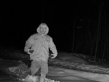 OPP Looking for Person of Interest Near Burks Falls