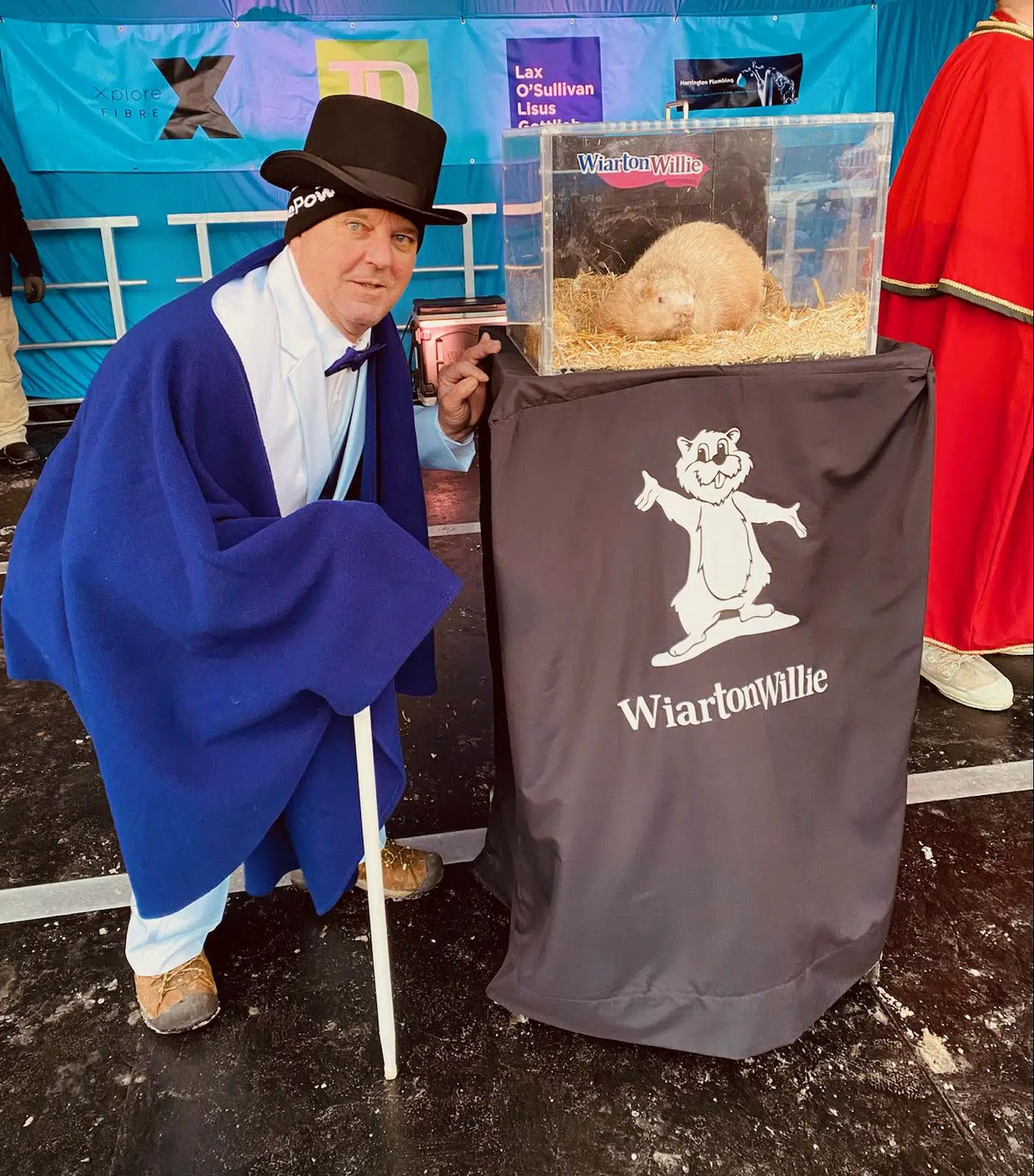 Wiarton Willie Calls For Early Spring