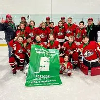 Icedogs To OMHA Tournament