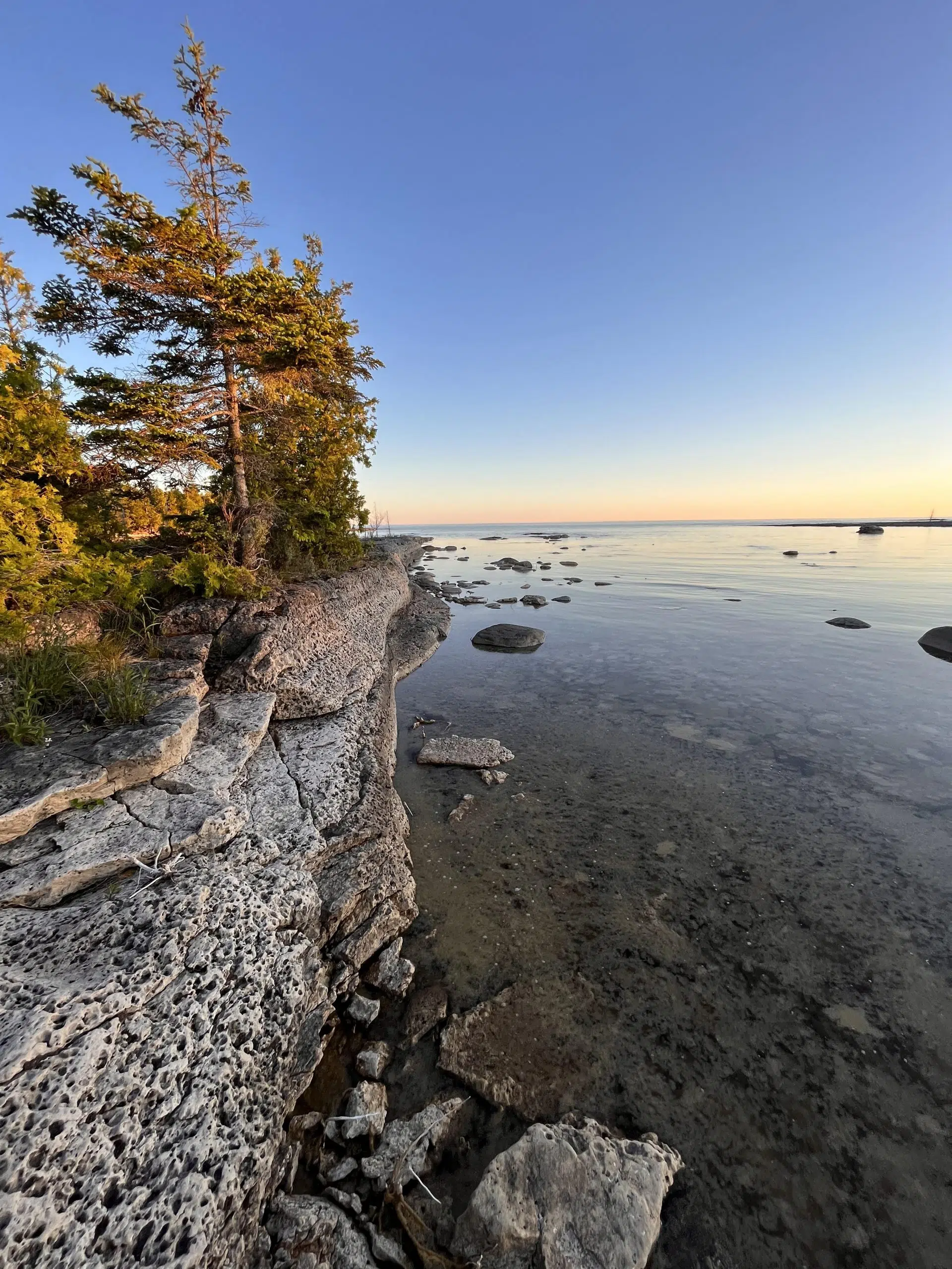 Nature Conservancy Purchases 24-Hectare Property Near Tobermory