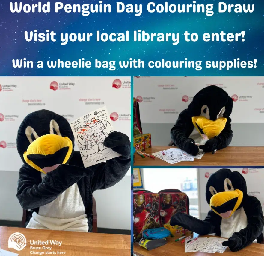 United Way Bruce Grey Holds World Penguin Day Colouring Draw