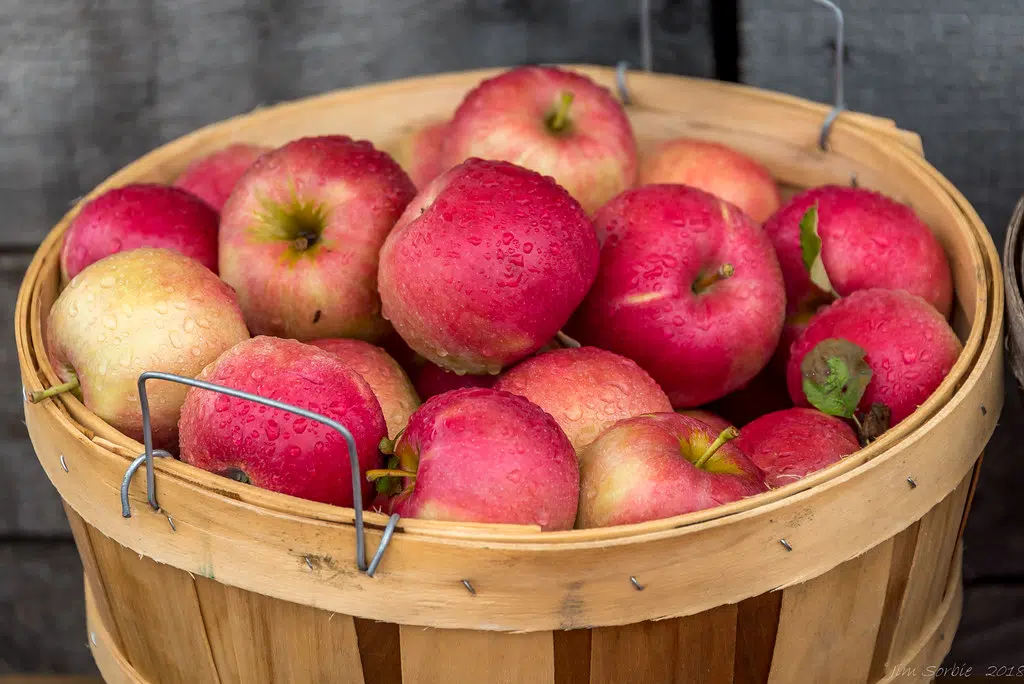 West Grey Supports Durham BIA In Starting Farmers' Market