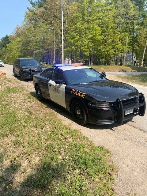 Springwater Resident Dies After Fall From Tree in Oro Medonte