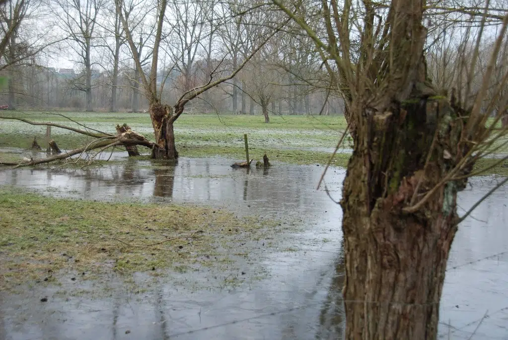 Flood Outlook In Effect for Bracebridge-Minden-Parry Sound District