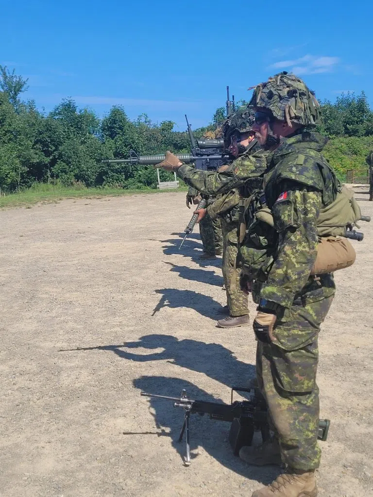 soldiers line up