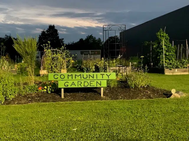 Community Garden Damaged in Bracebridge
