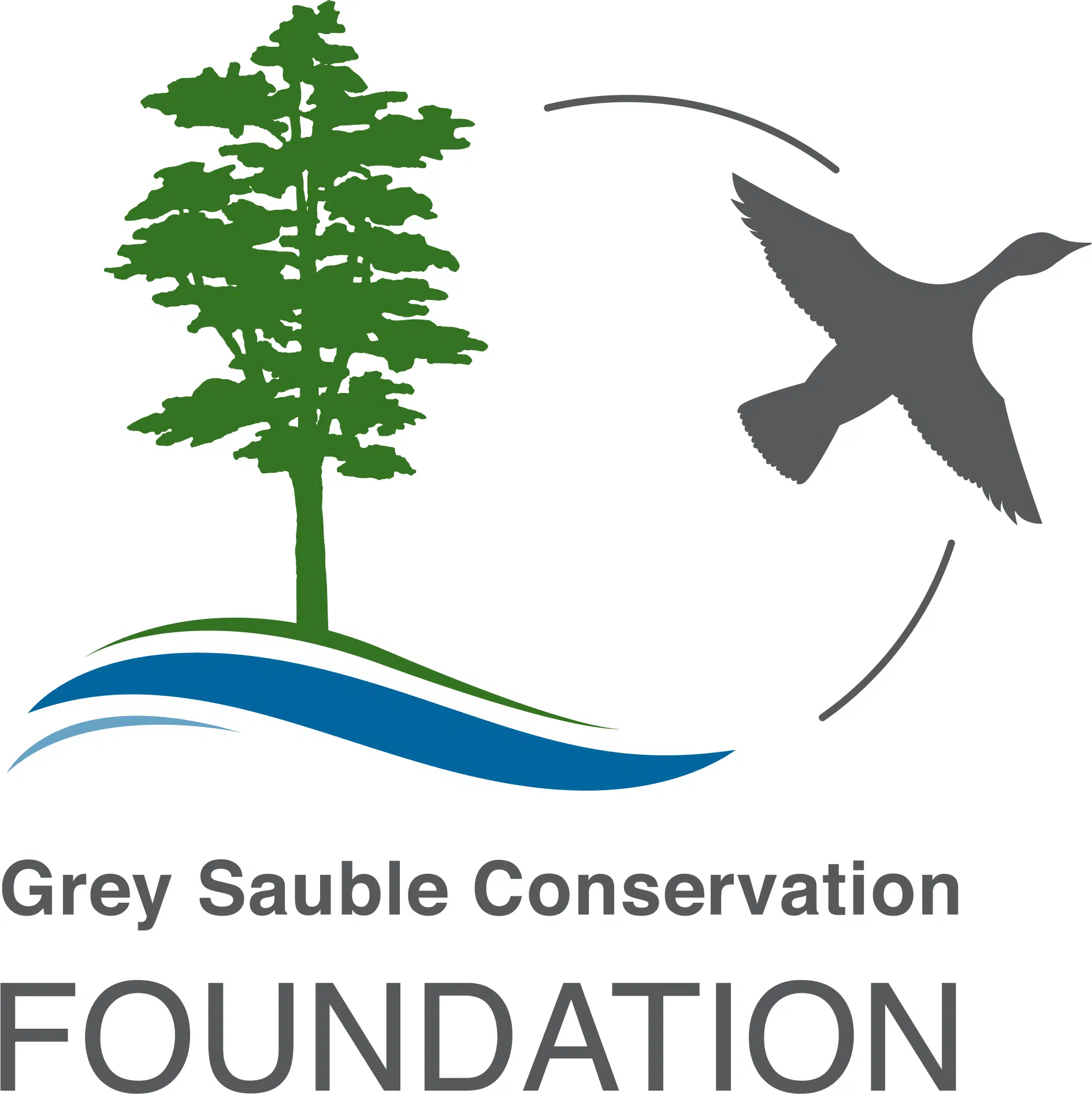 Owen Sound District Grad Receives Grey Sauble Conservation Foundation Award