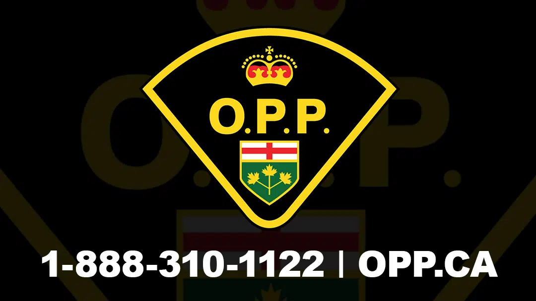 OPP Search For Person Who Went Missing On Lake St. George