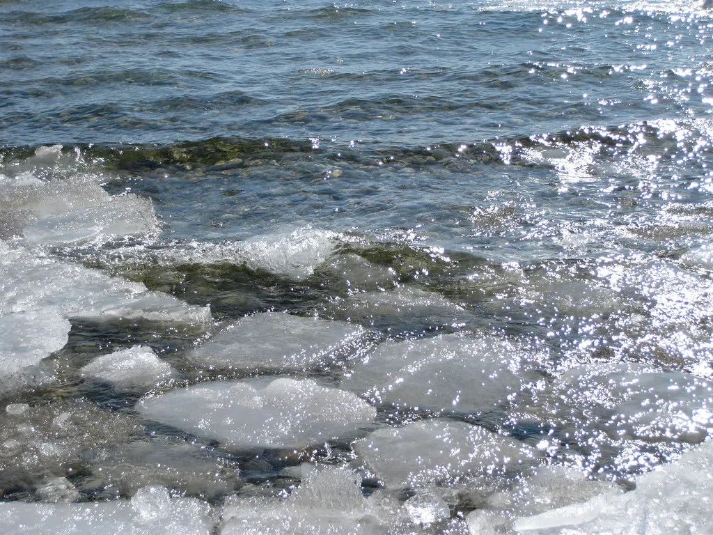 New Year's Day Polar Plunge Planned In Southampton