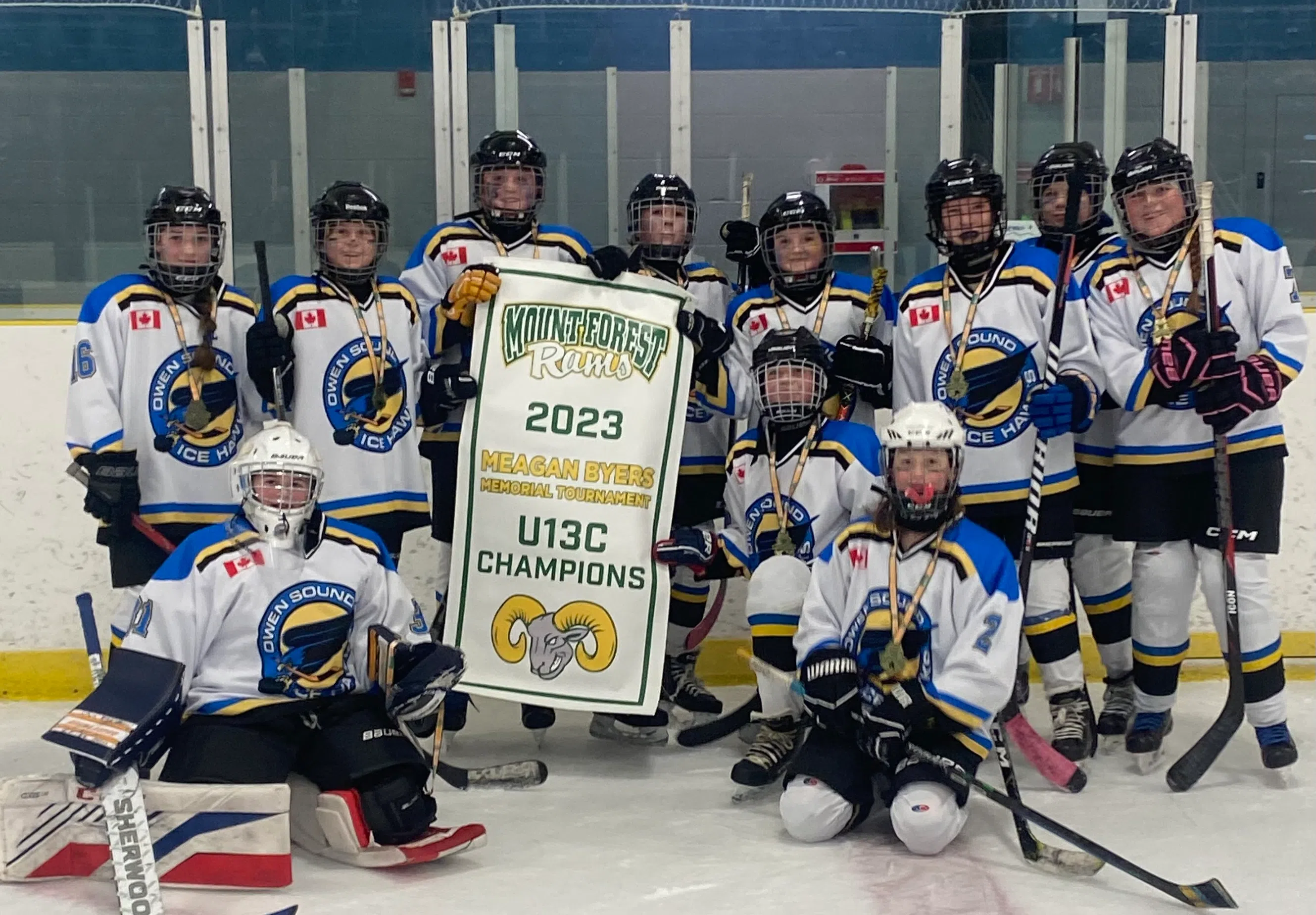 Minor Hockey: U13C Ice Hawks Take Gold At Tournament