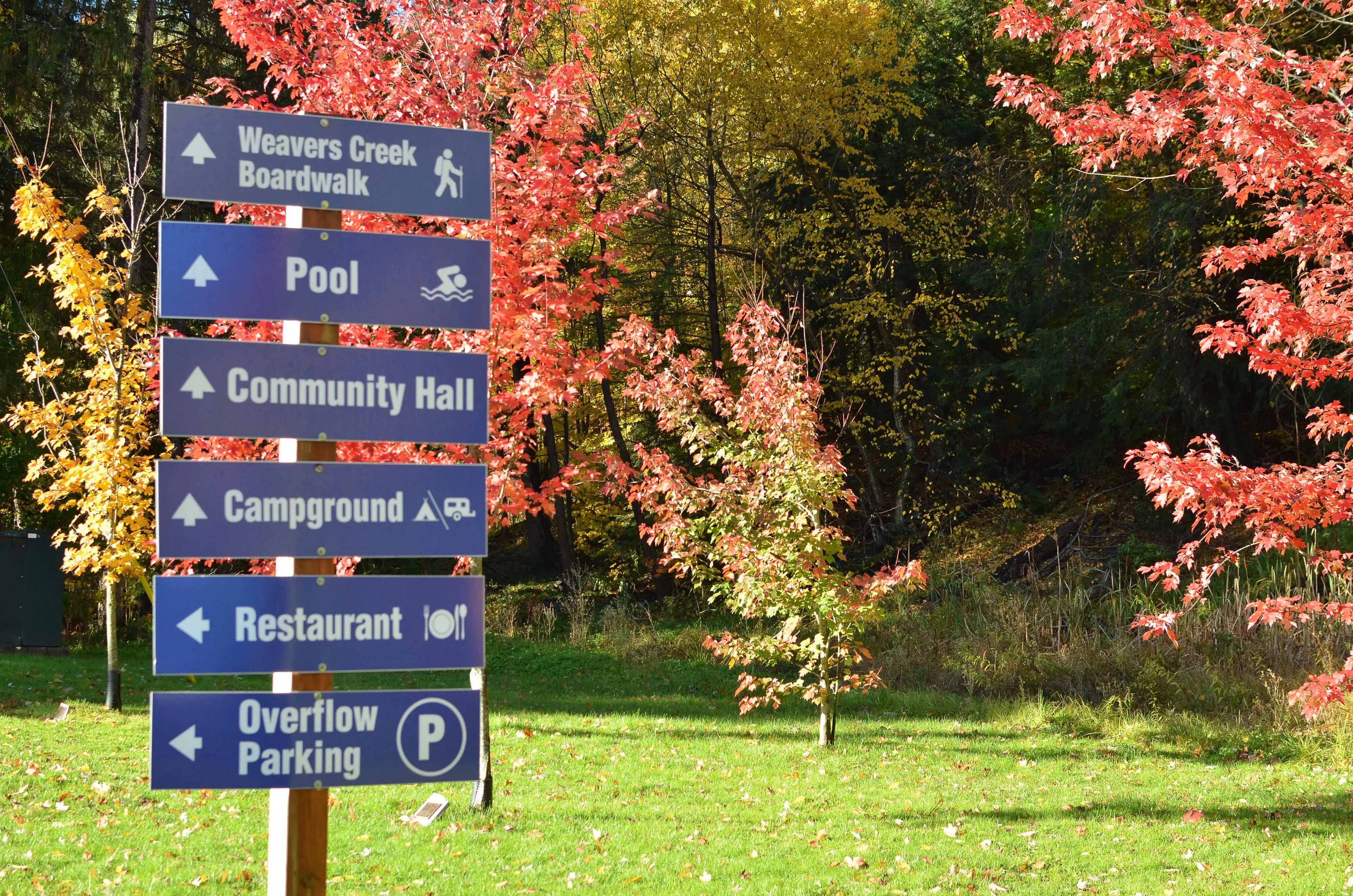 Reservations For Owen Sound Camping Season To Open In March