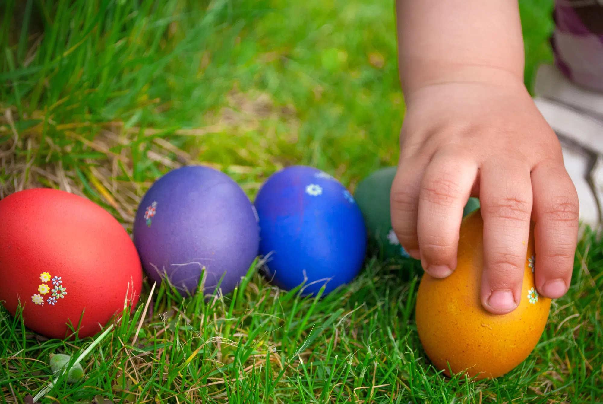 Annual Bracebridge Easter Egg Hunt Happens this Friday