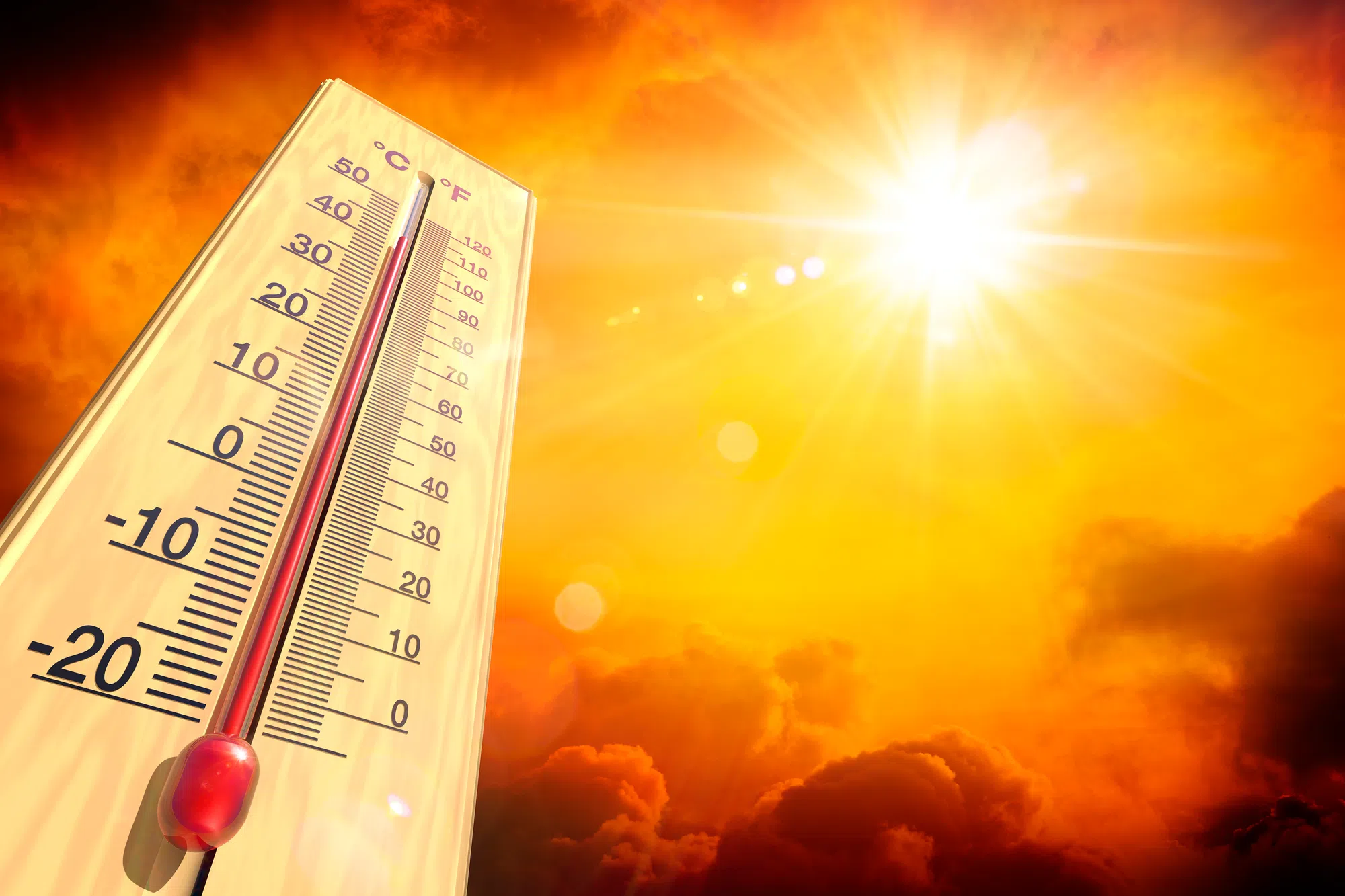 Extreme Heat Expected In Grey Bruce This Week, Warning Issued