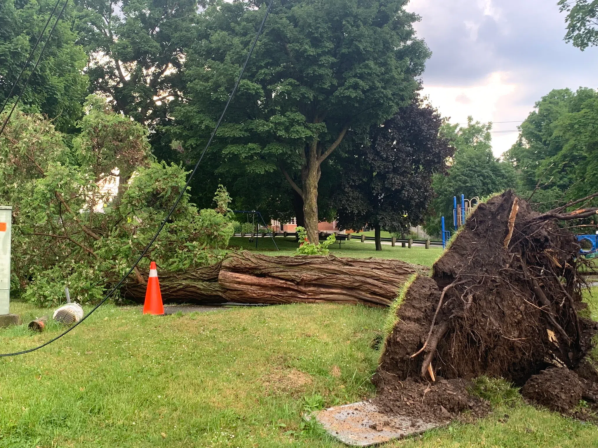 Storm Brings Hail, Topples Trees Around Owen Sound