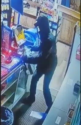 Police Investigating Break & Enters in Port Carling & Wahta First Nation