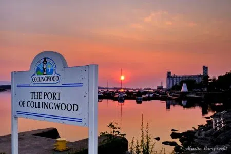 Weed control operations July 23 in Collingwood Harbour.