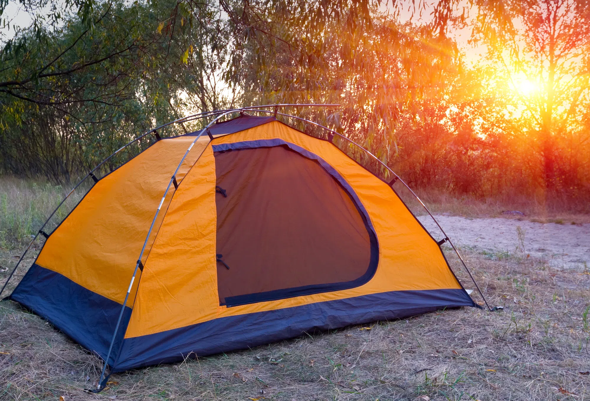 Council Revisiting Tent Restriction Bylaw In South Bruce Peninsula