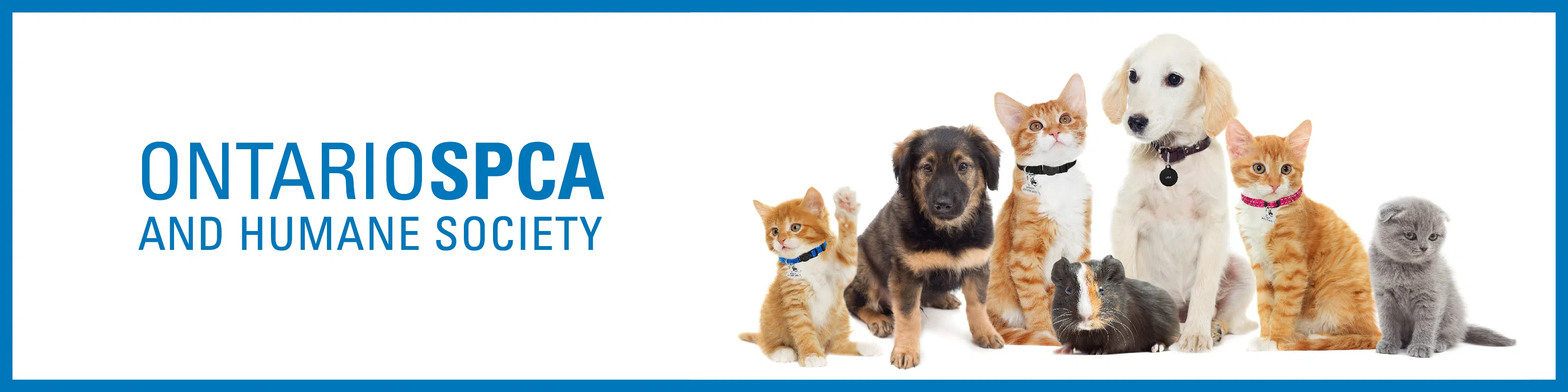 The Ontario SPCA to host mobile spay/neuter and wellness clinic in Muskoka