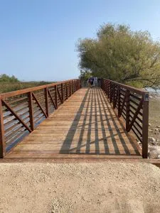 New Pedestrian Bridge Open On Collingwood Waterfront.