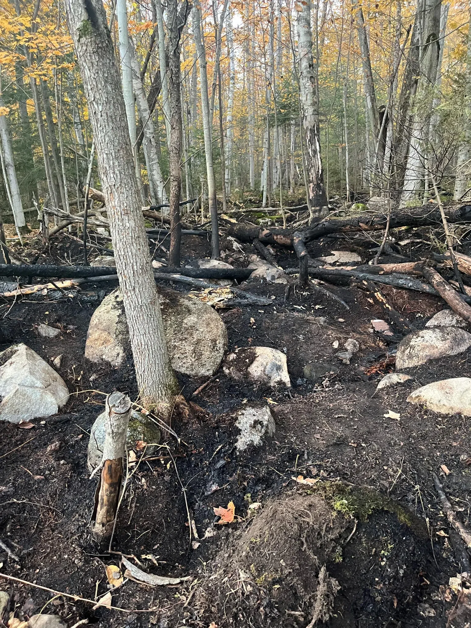 Saugeen First Nation Firefighters Extinguish Wildfire