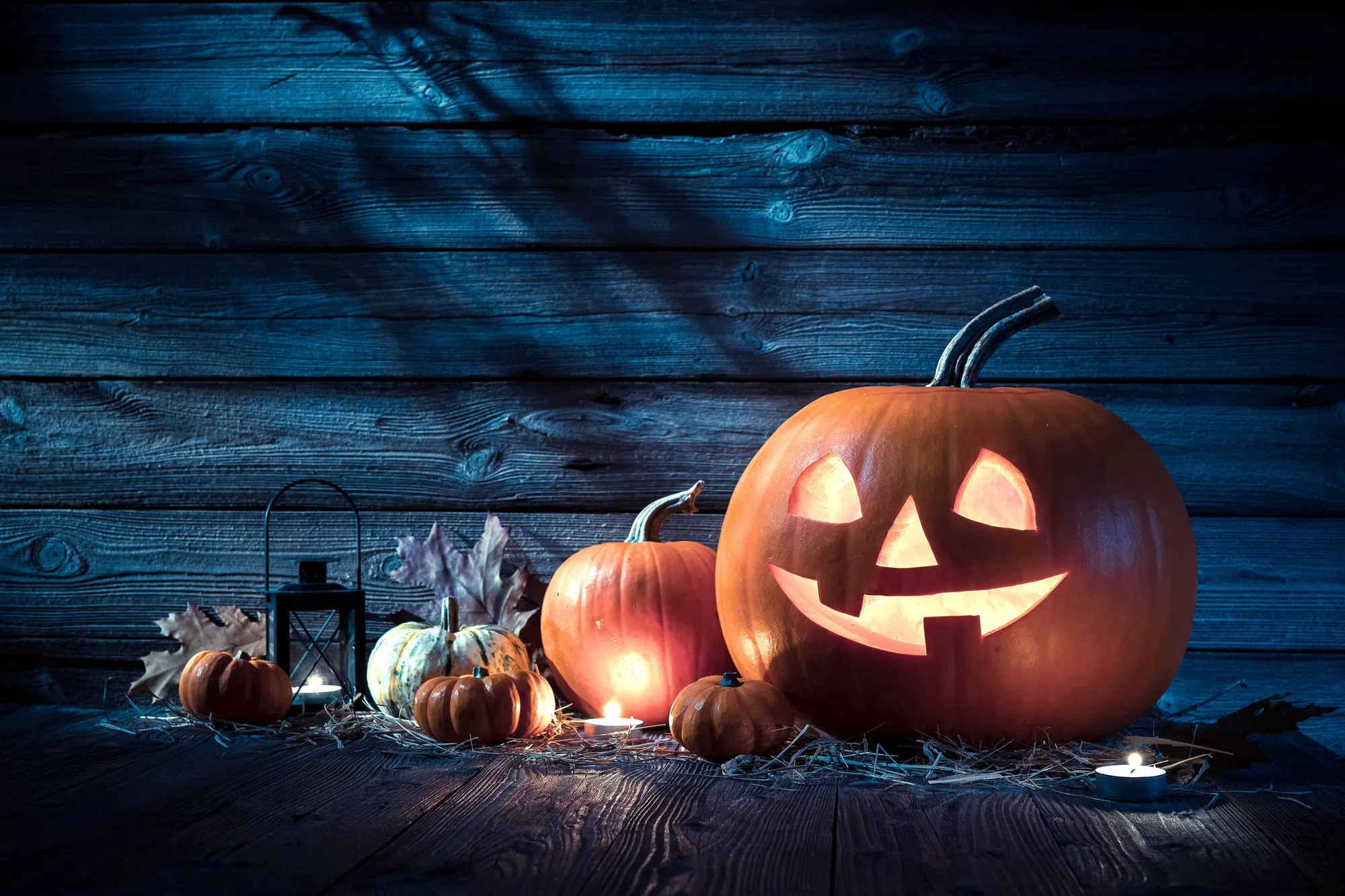 Lion's Head Pumpkin Parade Friday