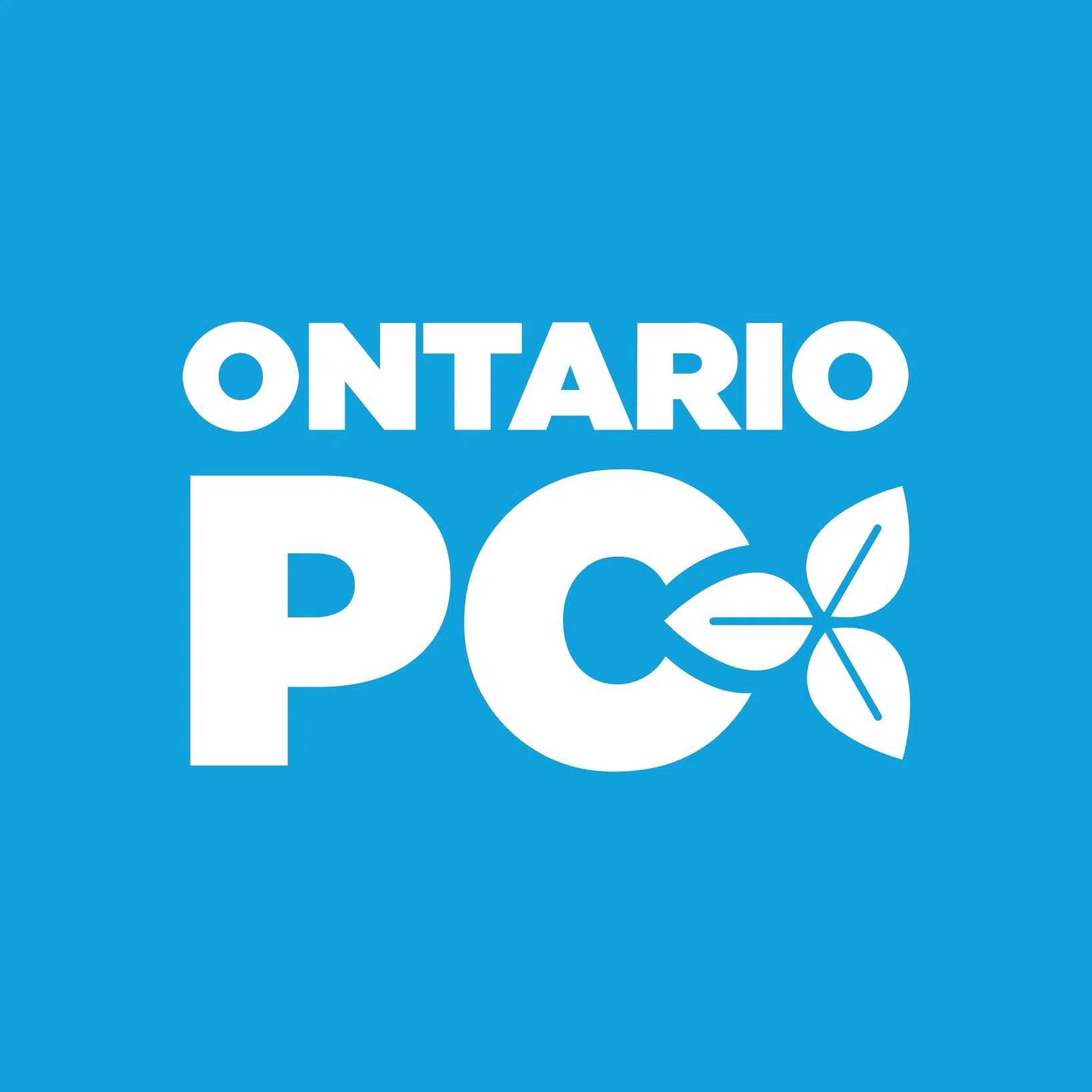 Bruce-Grey-Owen Sound Progressive Conservatives Announce January Nomination Meeting