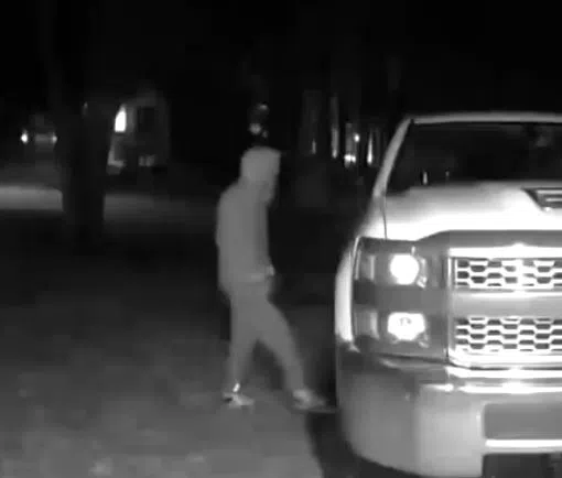 Break In & Theft In Gravenhurst