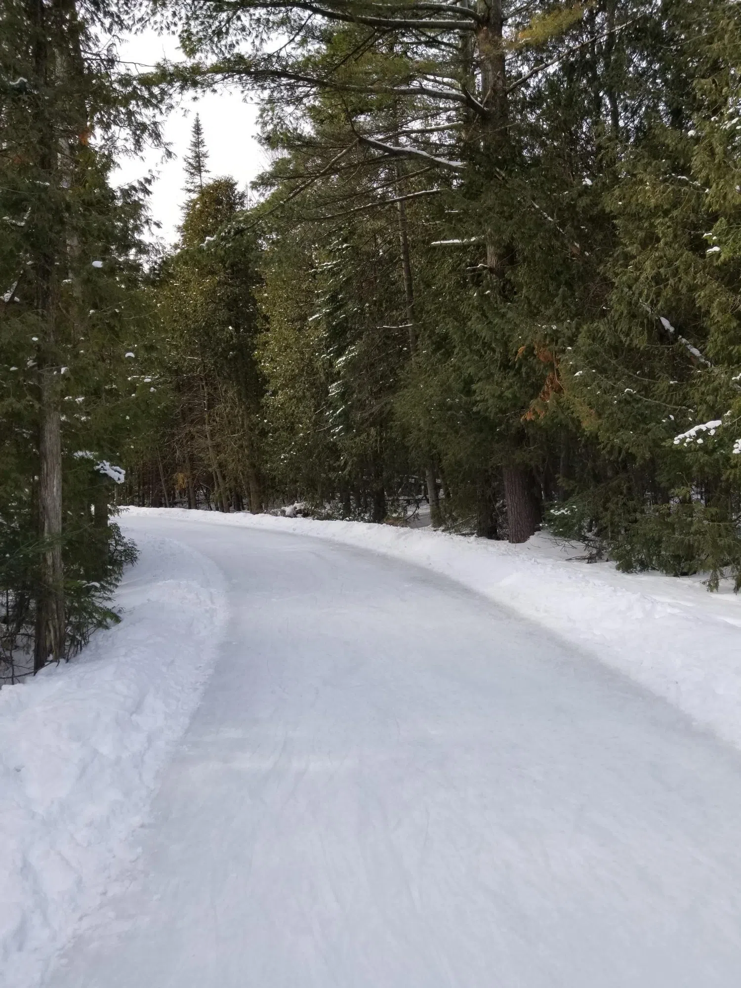 Skating Trail at MacGregor Point Provincial Park Now Open