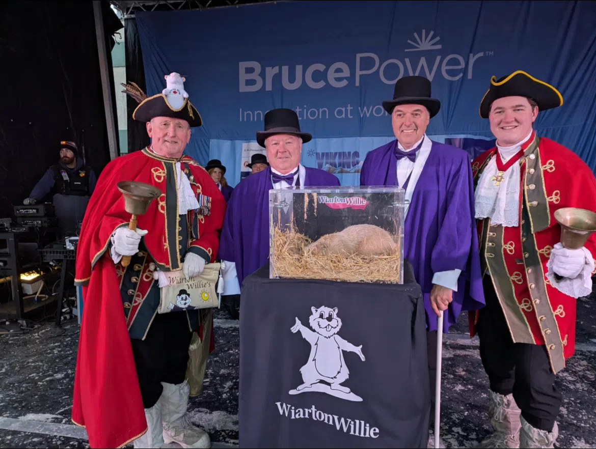 Wiarton Willie Predicts An Early Spring 560 CFOS