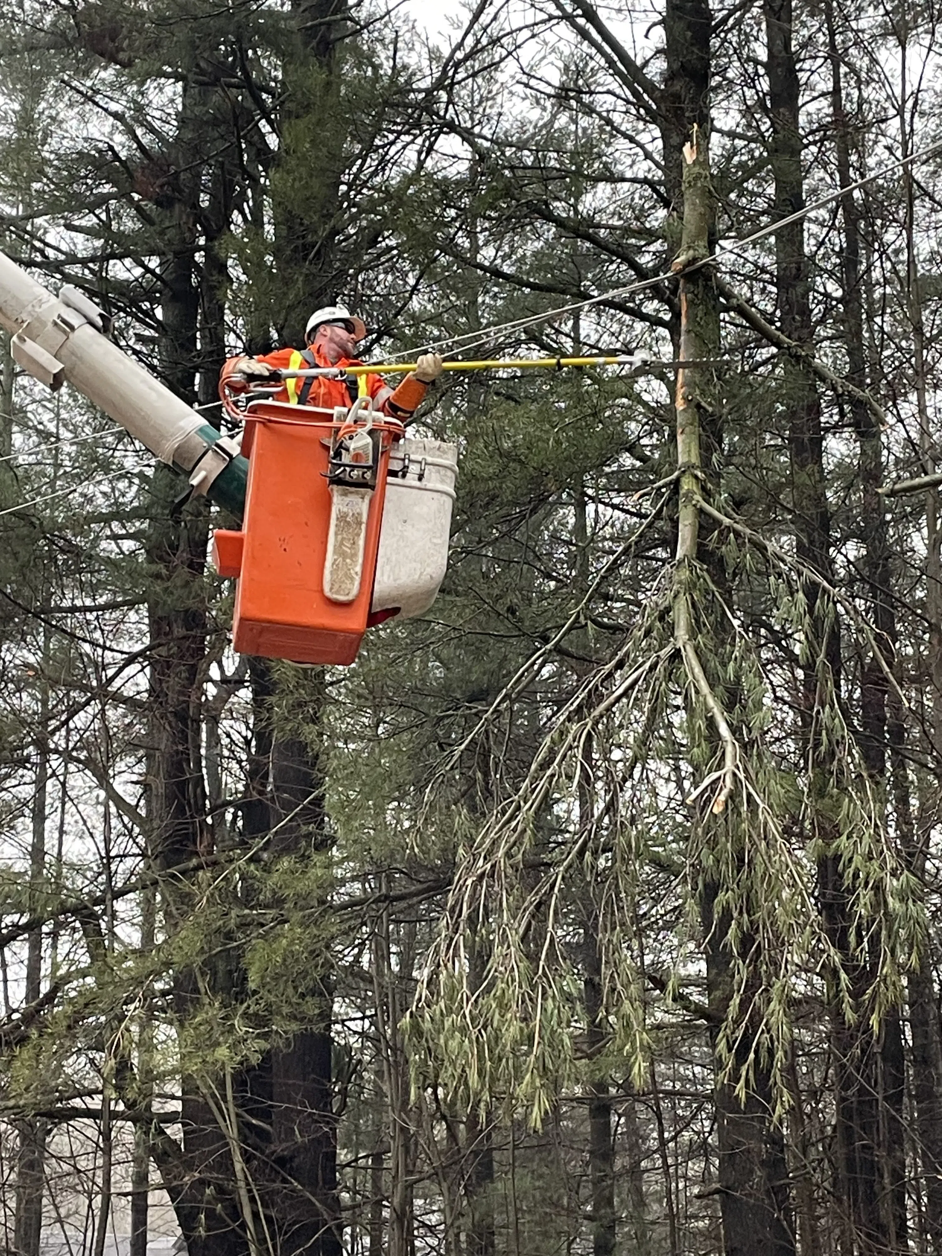 Ice Storm update from Springwater Township