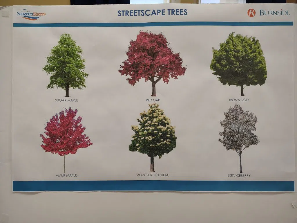 some new trees including a lilac tree