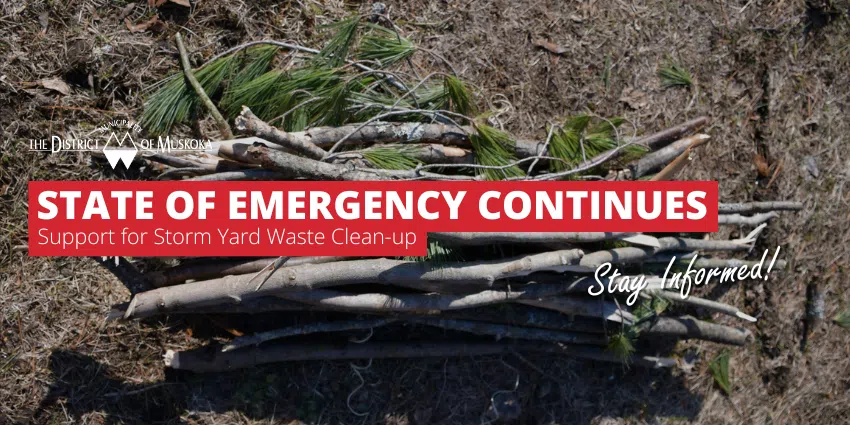 Muskoka Rallies Together: Support for Storm Yard Waste Clean-up