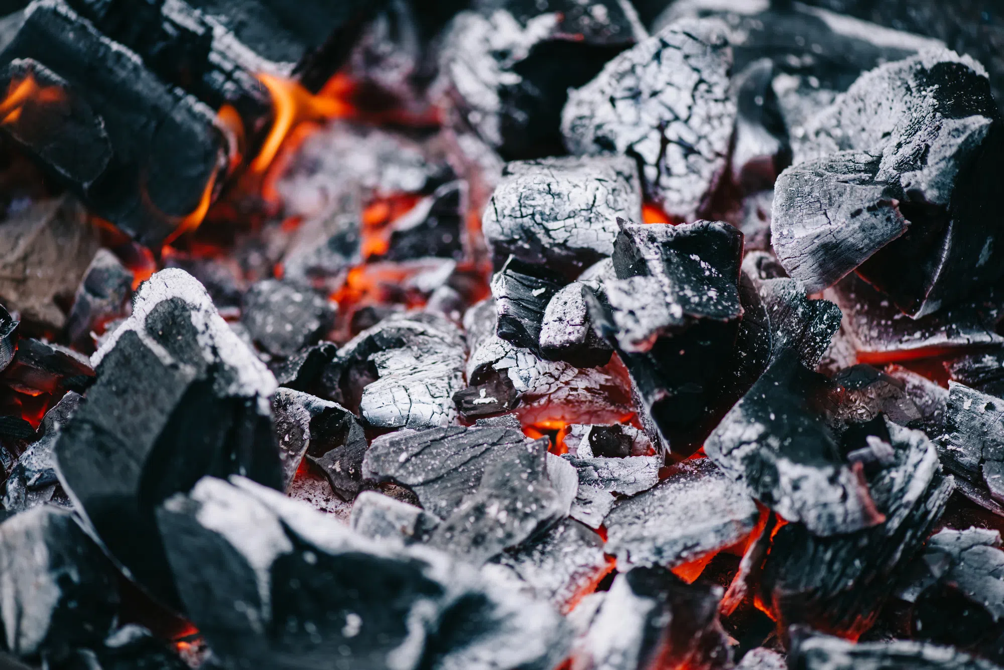 Muskoka Fire Danger Rating Raised to High