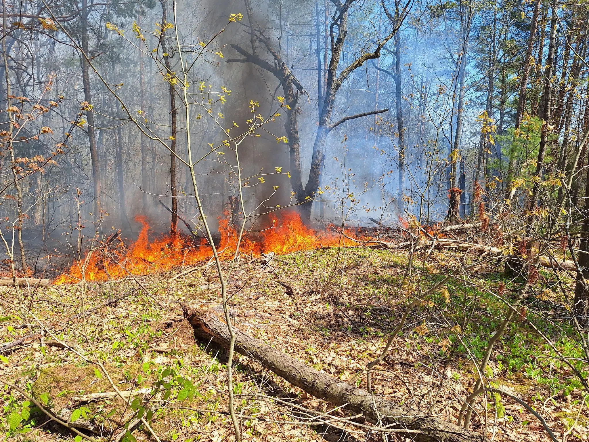Vehicles, Structures Damaged in Gravenhurst Fire.