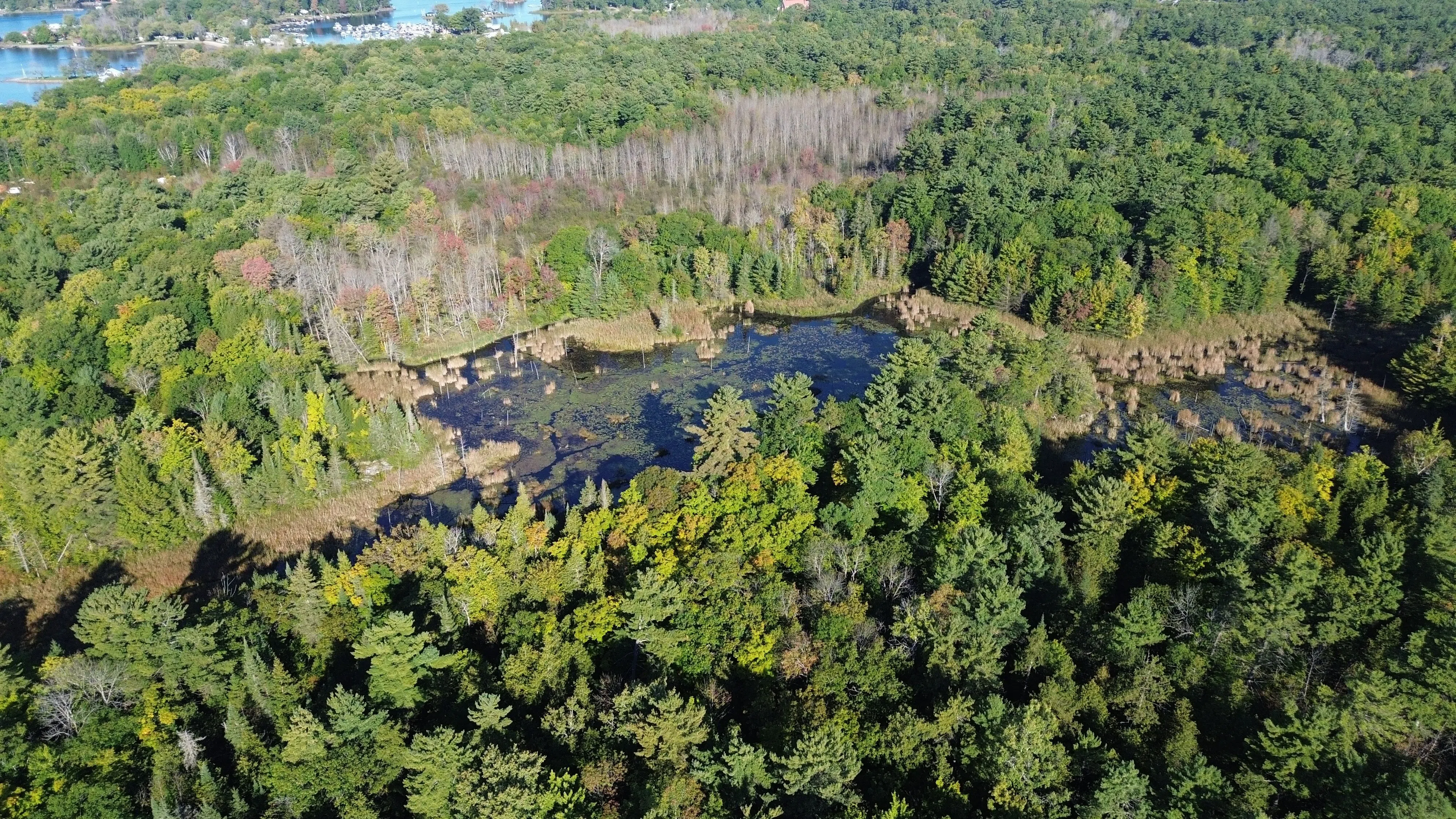 Ducks Unlimited Canada Conserves Essential Wetland in Georgian Bay Biosphere Reserve