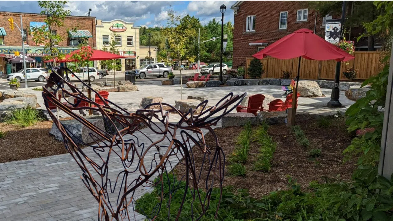 Four New Animal Sculptures Find Their Home in Kent Park