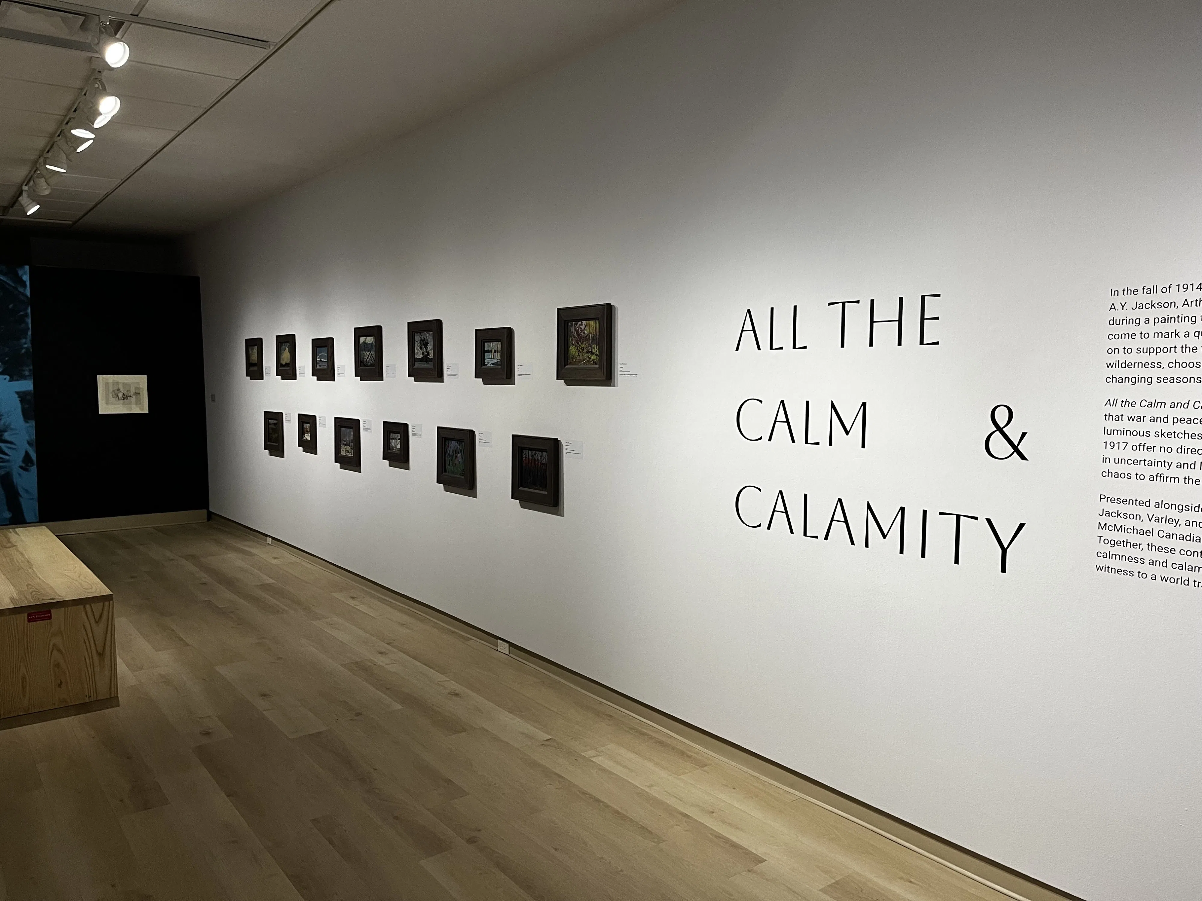 TOM Art Gallery Opens Summer Exhibitions