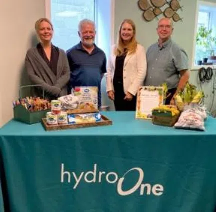 Four Community Organizations Receive Funding From Hydro One's Community Fund