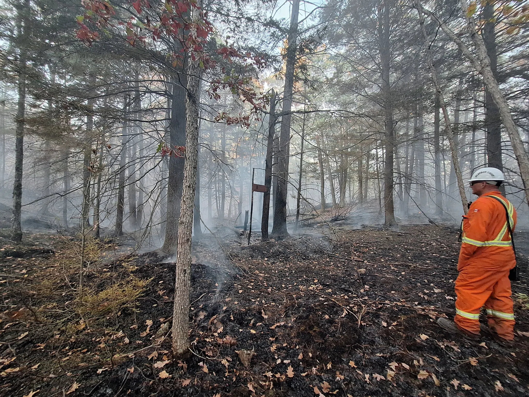 Update: Gravenhurst wildfire