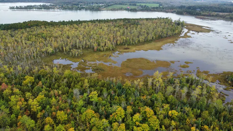 Mountain Lake Area Land Donation To Conservation