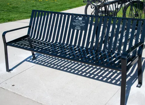Park Benches Stolen Near Wingham