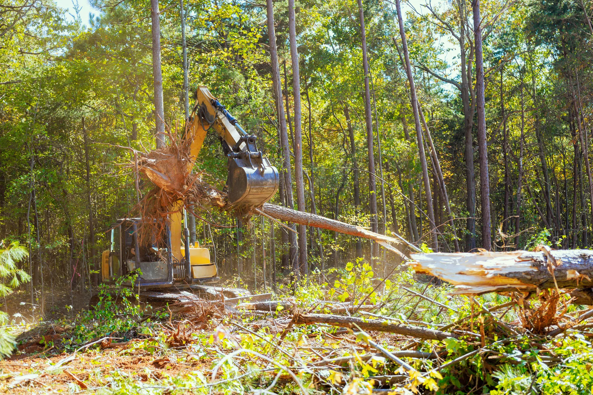 $790K In Fines Levelled Against Huron County Residents For Land Clearing