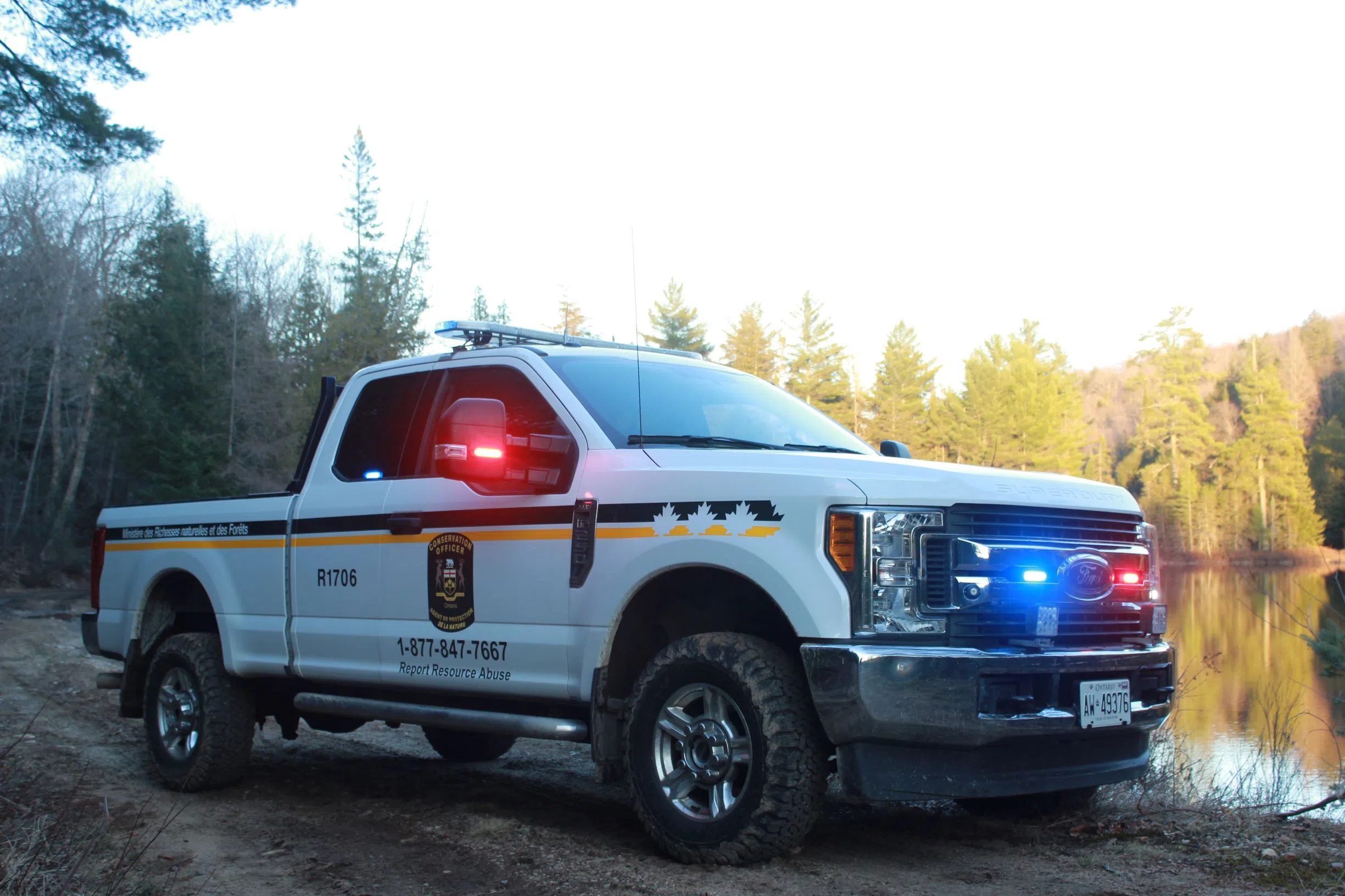 Meaford Man Fined For Moose Hunting Violation