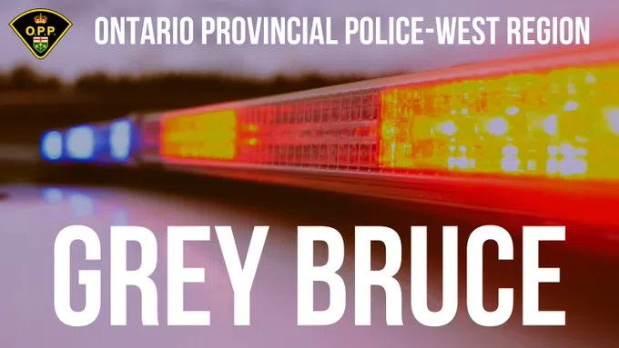 Police Investigate Orange Irritant Sprayed in Meaford