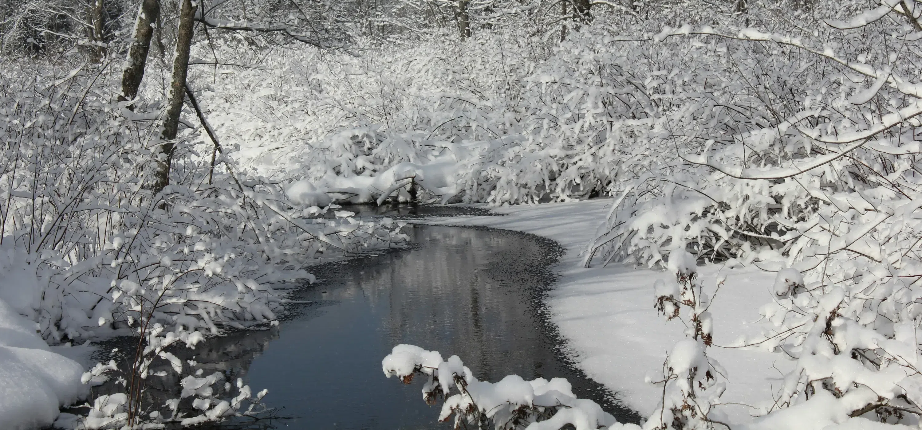 Spring Melt Preparations Begin In Georgian Bluffs