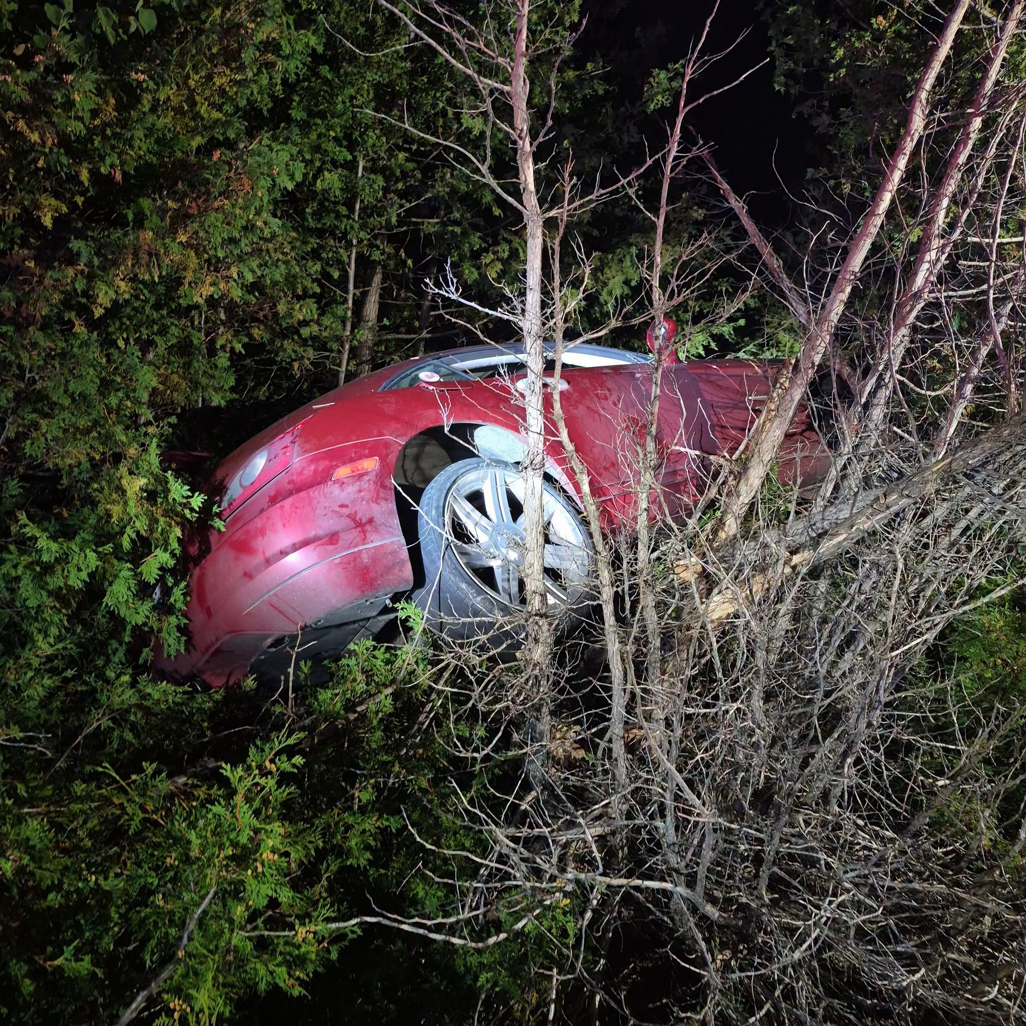 a car ensnared in tree branches